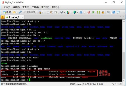 Nginx 安装指南 计算机软硬件技术开发环境搭建