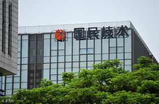 国民技术 主力资金异动背后的计算机软硬件技术开发赛道深度解析